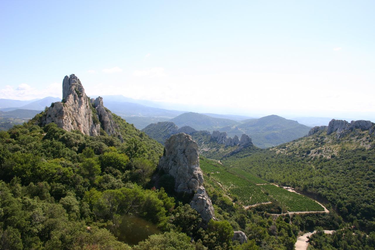 les dentelles  vue sur les vignes de Gigondas
